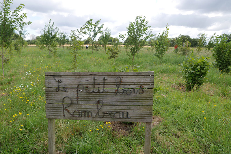 Le petit bois Rambeau